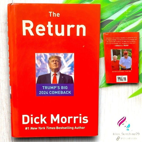 THE RETURN by Dick Morris - Hardcover book politics - 252 pages  NY Bestseller - Picture 1 of 4